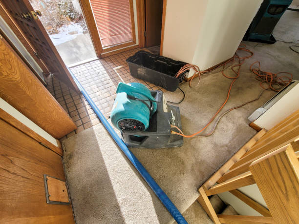Best Flood damage cleanup  in Oakdale, PA