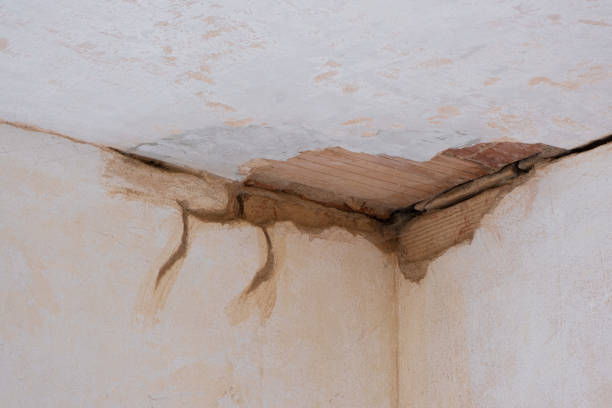 Best Basement water damage restoration  in Oakdale, PA