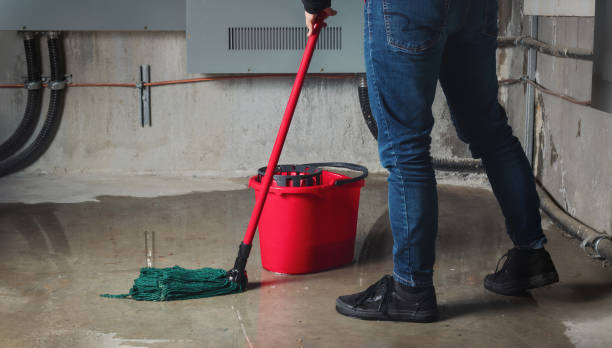 Best Water damage contractors near me  in Oakdale, PA