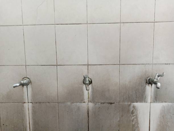Best Ceiling water damage repair  in Oakdale, PA
