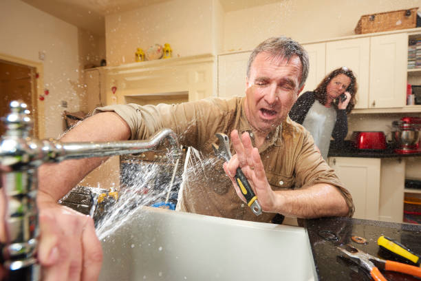 Best Mold removal after water damage  in Oakdale, PA